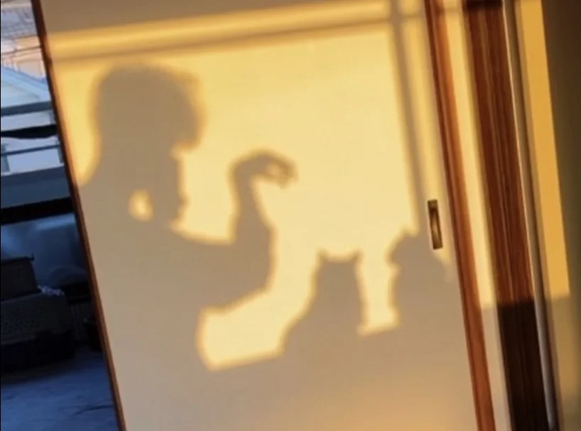 影