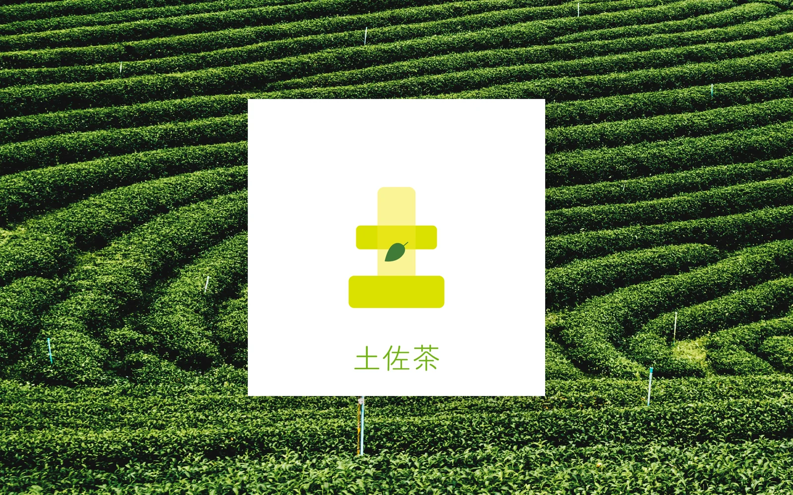 土佐茶 シンボルマーク